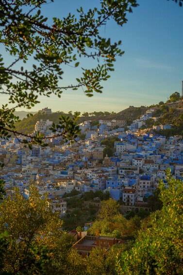 A densely packed town with buildings predominantly painted in blue, surrounded by greenery and hills. 4