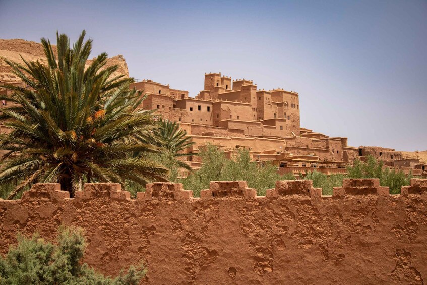 A traditional mud-brick fortress with a palm tree in the foreground. 5