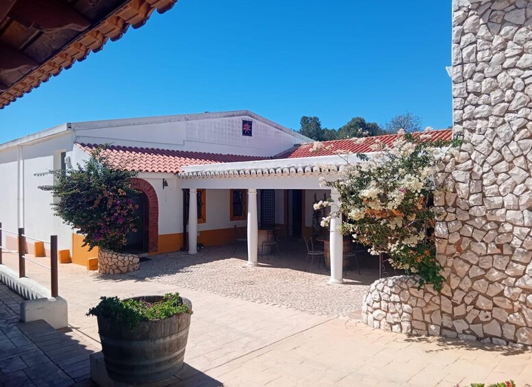 Picture 5 for Activity Wine and Cheese Tasting Tour - Algarve 4