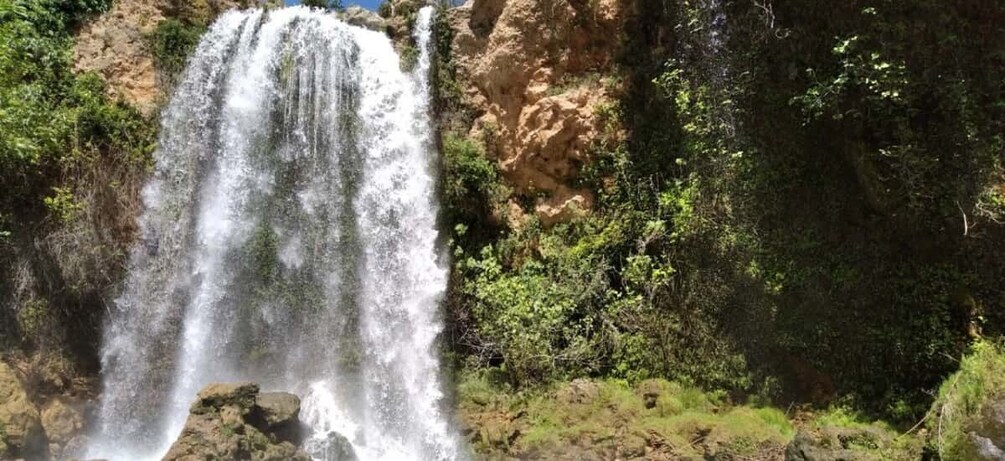 A waterfall cascading down a rocky cliff surrounded by dense greenery. 4
