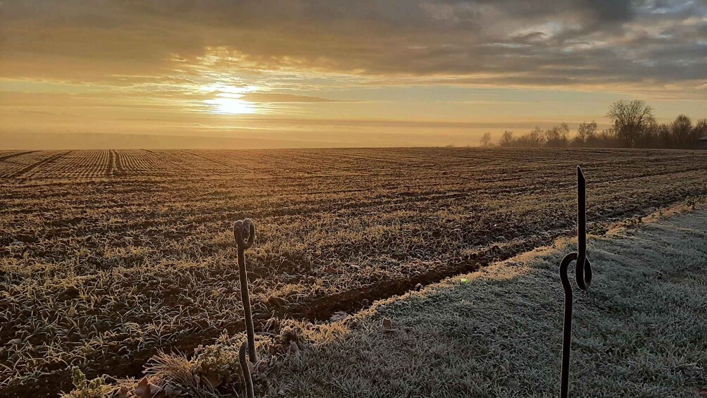 A frost-covered field with a sunset in the background. 2