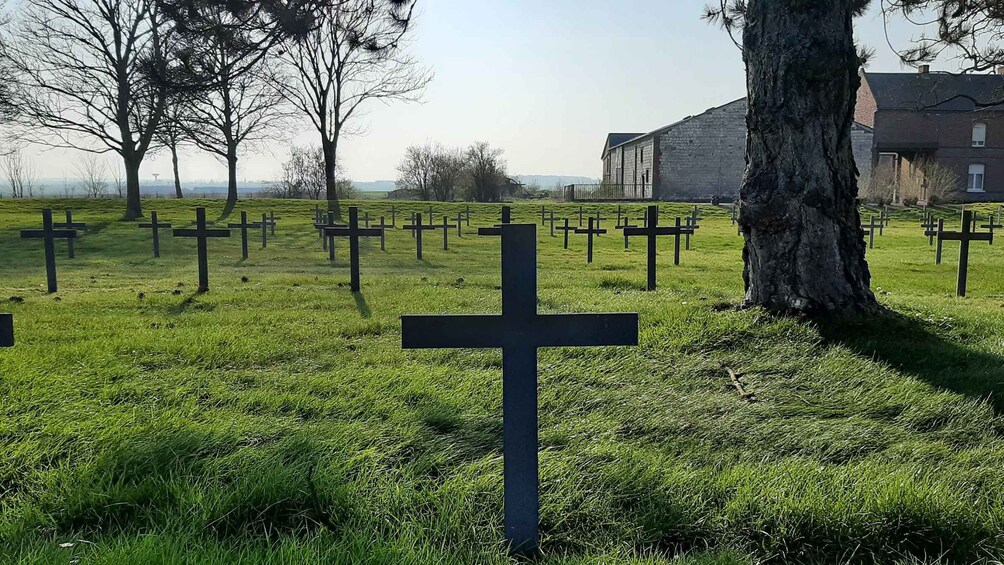 A cemetery with numerous crosses and a large tree in the foreground. 3