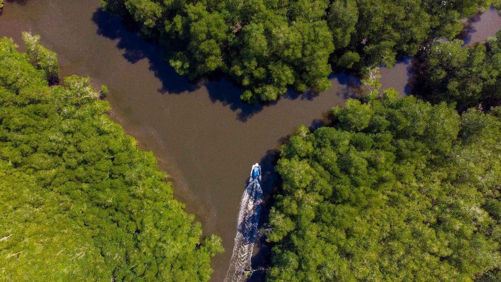 A river winding through a dense forest. 1