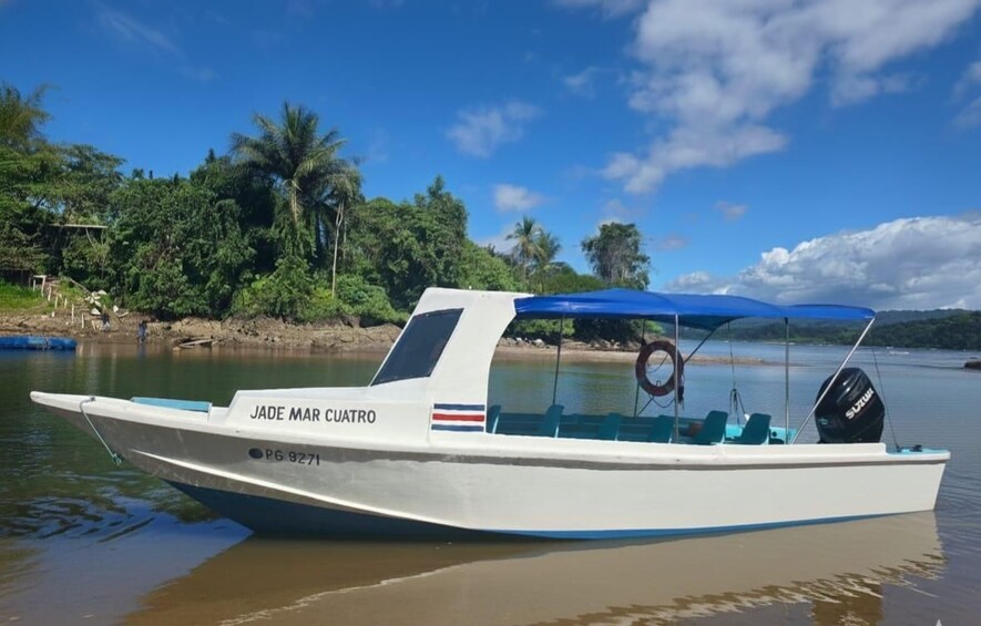 A boat named 'JADE MAR CUATRO' with a blue canopy, docked near a riverbank with trees and a clear sky. 2