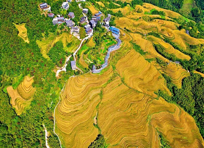Terraced rice fields, a winding road, and scattered buildings. 5