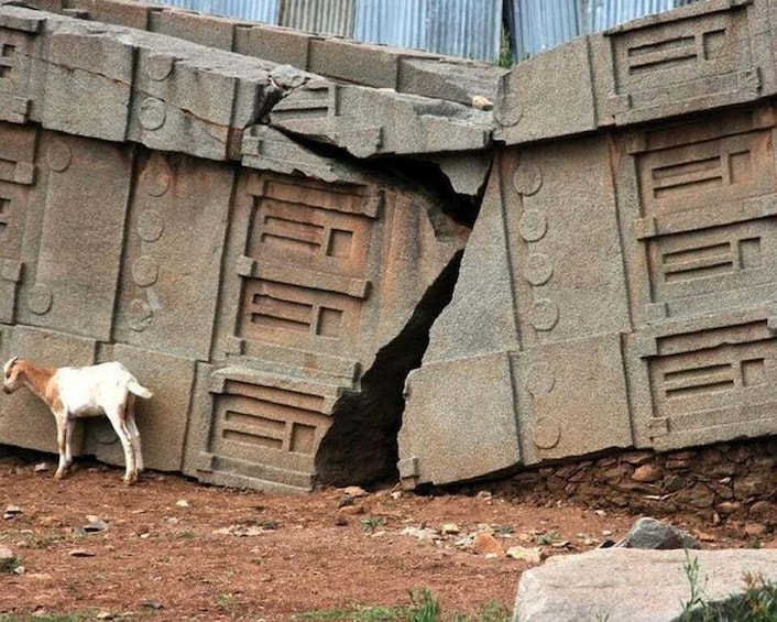 A goat near a large stone structure with a visible crack. 2