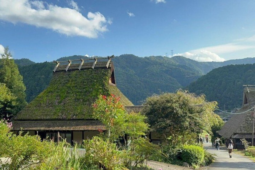 A traditional building with a green roof, surrounded by lush greenery and mountains in the background. 5