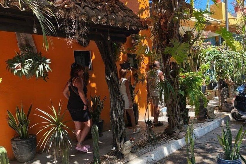 A courtyard with orange walls, potted plants, and a tree. 4
