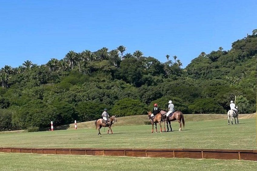 A polo match on a grassy field with players on horseback, a clear sky, and a forested hill in the background. 3