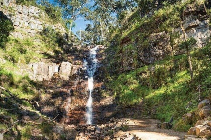 Grampians National Park Day Tour from Melbourne Wildlife 4