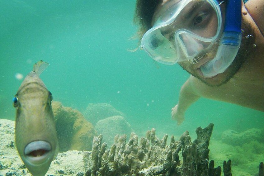 Une personne faisant de la plongée avec tuba sous l’eau, avec un poisson à proximité. 3