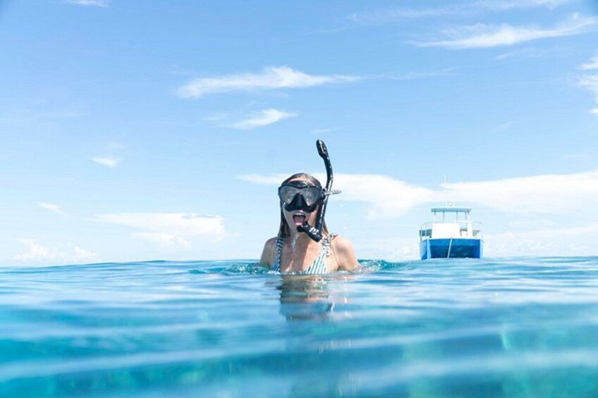 Biologist Owned & Operated: Dolphin Watching & Guided Snorkeling 4