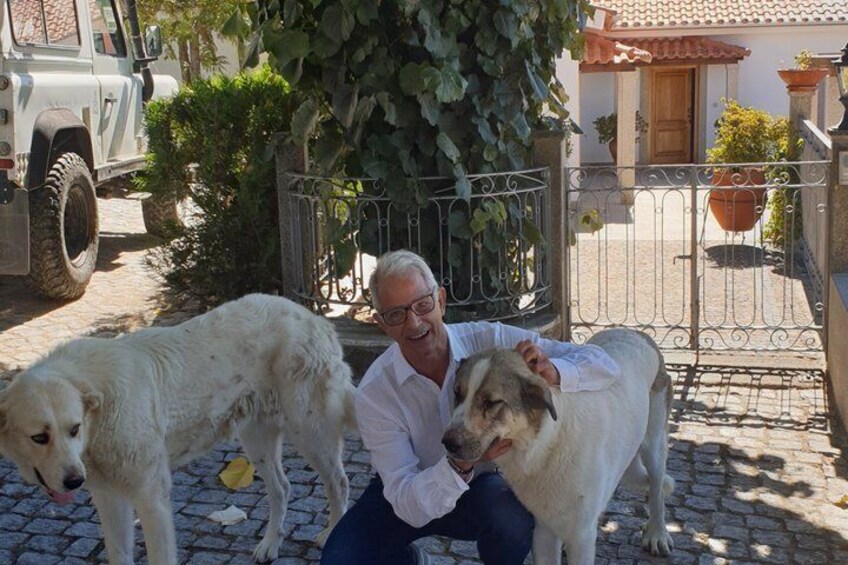 A man with two dogs in a courtyard with a white car and a building in the background. 3