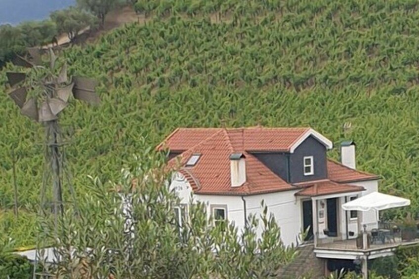 A house with a red roof surrounded by lush green vegetation. 4