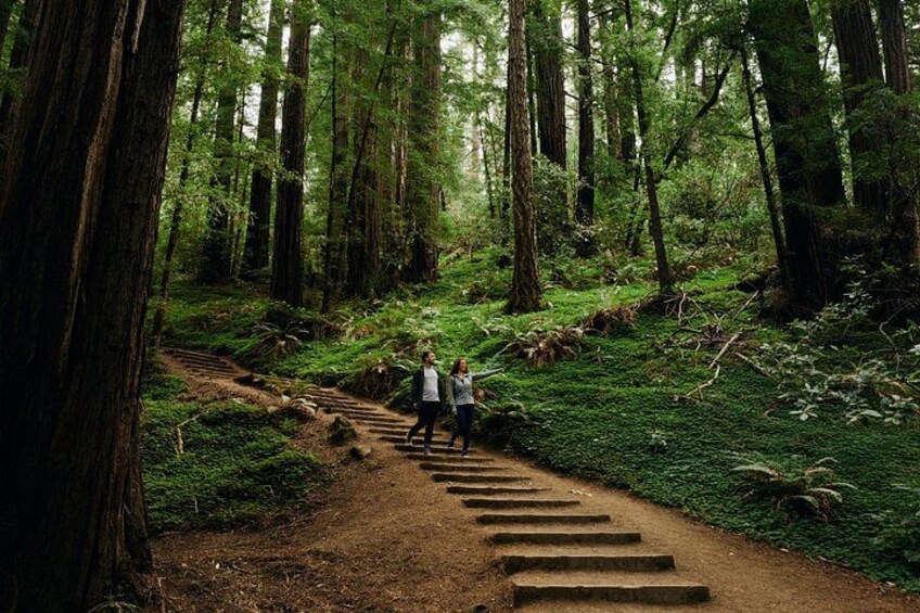 A forested area with a dirt path leading up a set of stairs. 3