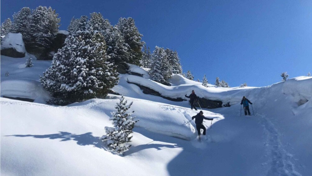 A snowy mountain landscape with skiers, evergreen trees, and clear blue sky. 5