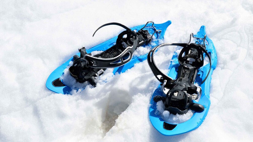 A pair of blue snowshoes with metal bindings on a snowy surface. 2
