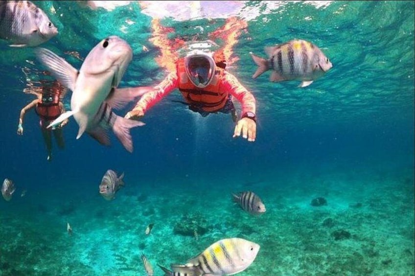 Entrance to Chankanaab with Snorkeling on Cozumel Excursion 5