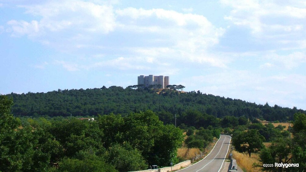 A castle on a hill with a road leading towards it. 5