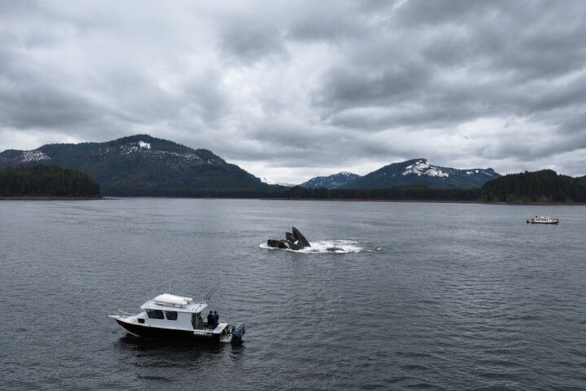 A lake with boats, mountains, and a cloudy sky. 1
