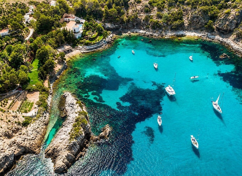 Picture 4 for Activity Ibiza: 4 Hours of Discovery, Snorkeling, Pirate Cave 2