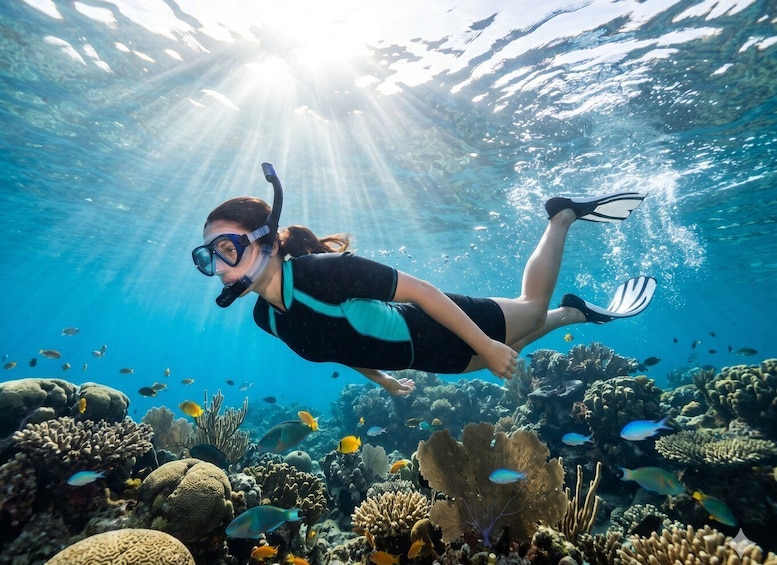 Picture 4 for Activity Ibiza: 4 Hours of Discovery, Snorkeling, Pirate Cave 2