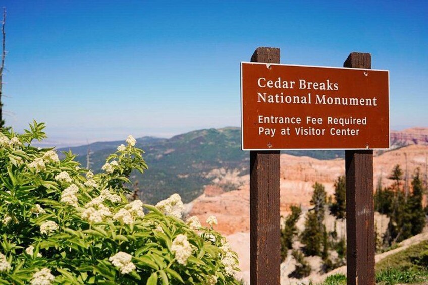 Cedar Breaks National Monument High Mountain Overlook Tour 2