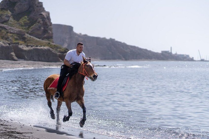 A person riding a horse along a beach with water and rocky cliffs in the background. 3