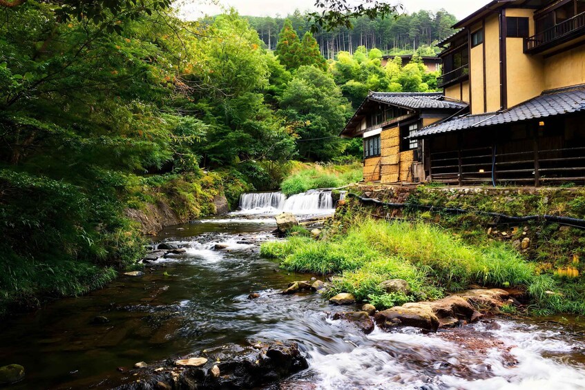 Picture 11 for Activity From Fukuoka: Aso Volcano & Takachiho Gorge Scenic Tour 2