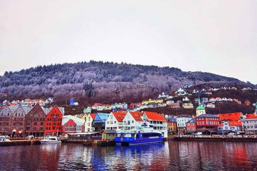 2day tour Bergen to Flåm Næroyfjord Sognefjord and Hardangerfjord 1