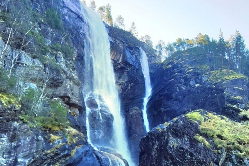 Een waterval stort neer over een rotswand, omringd door bomen. 2
