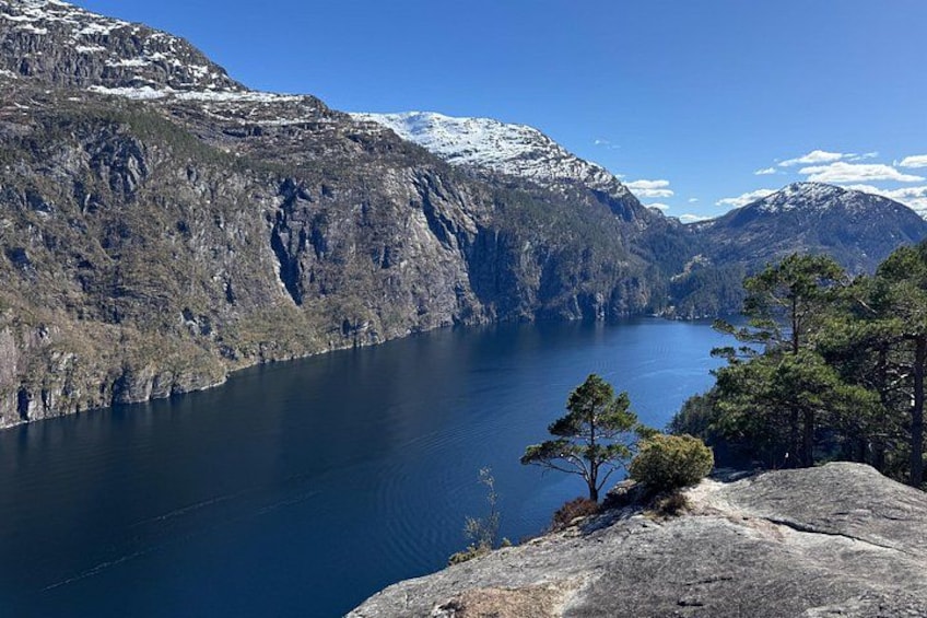 A mountainous landscape with a lake, snow-capped peaks, and a lone tree. 2