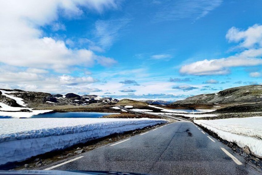 1Day Tour from Bergen to Flåm, Nærøyfjord Cruise & Stegastein 5