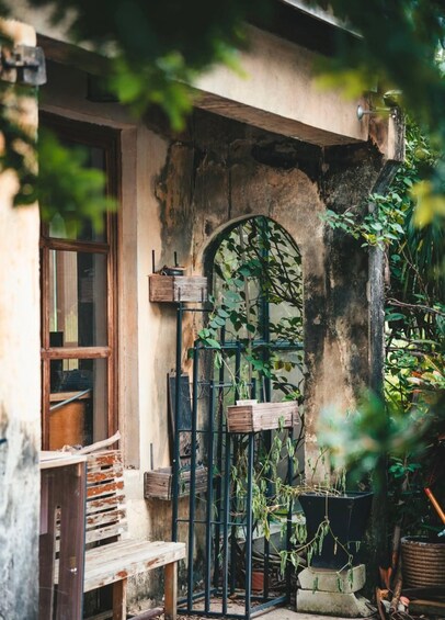 A rustic garden with a wooden bench, a metal gate, and various potted plants. 2
