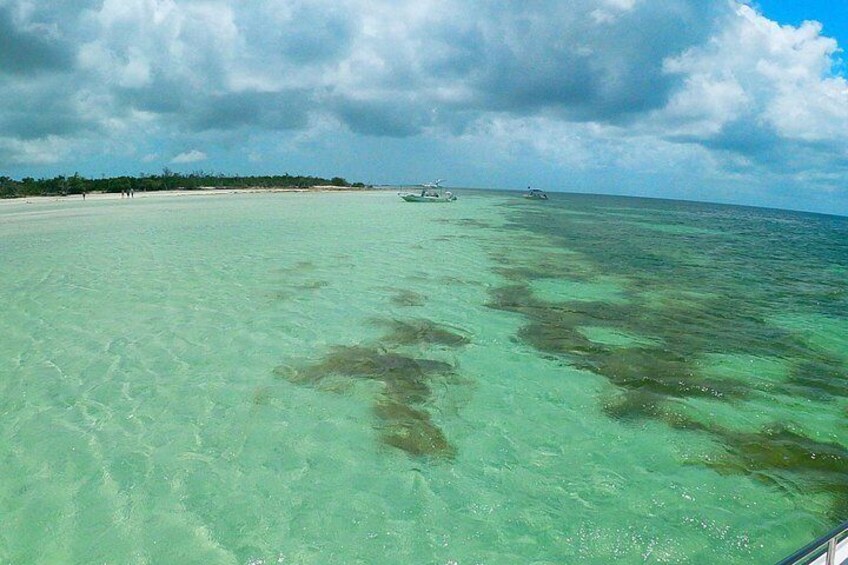 Luxury Sandbar and Snorkeling trip in Key West 3