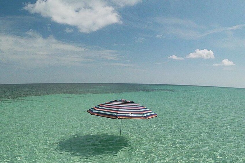 Luxury Sandbar and Snorkeling trip in Key West 4