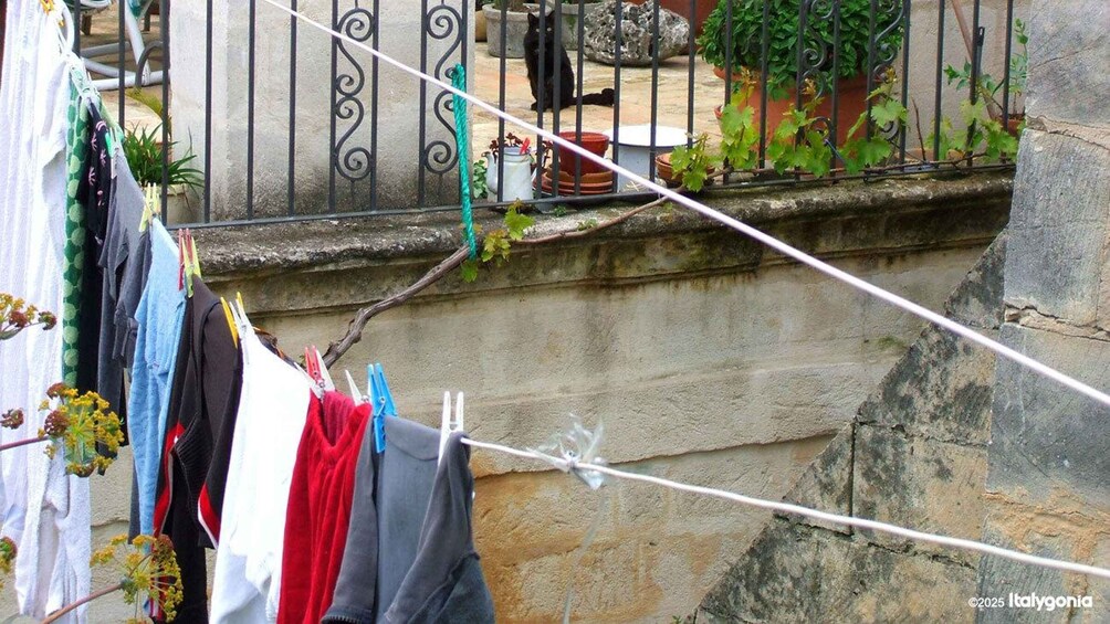 Clothes hanging on a line against a stone wall, with a black cat on a balcony and potted plants in the background. 5