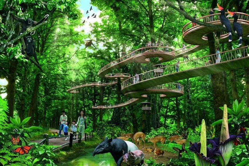 Une forêt avec un sentier en spirale, des singes et divers autres animaux. 2