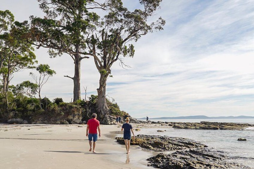 Two people walking on a beach with large trees and rocky outcrops. 3