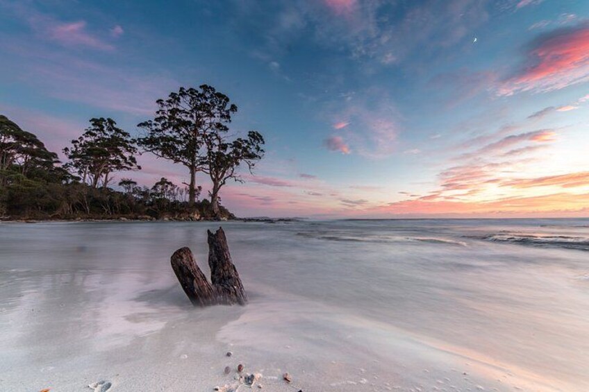 Bruny Island Full Day Tour inc Exclusive Lighthouse Tour 4