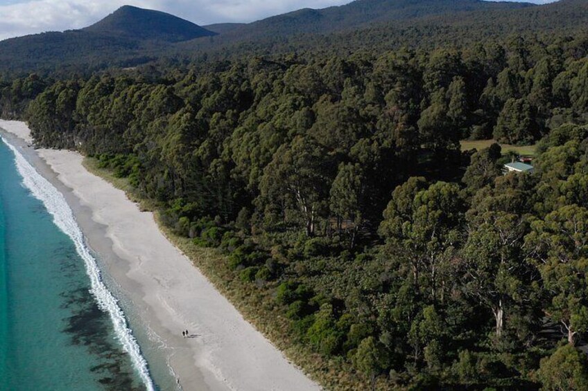 A coastal landscape with a beach, dense forest, and a small house. 2