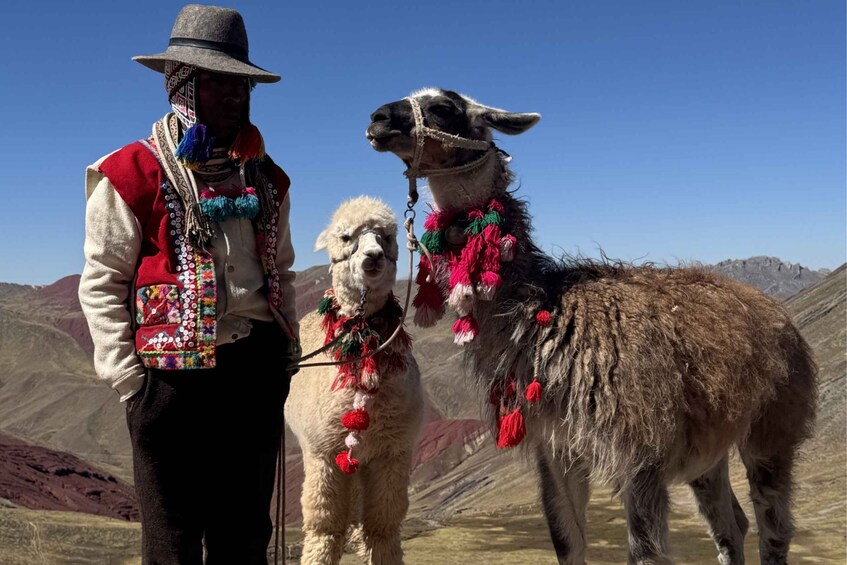 A person in traditional attire with llamas in a mountainous landscape. 4