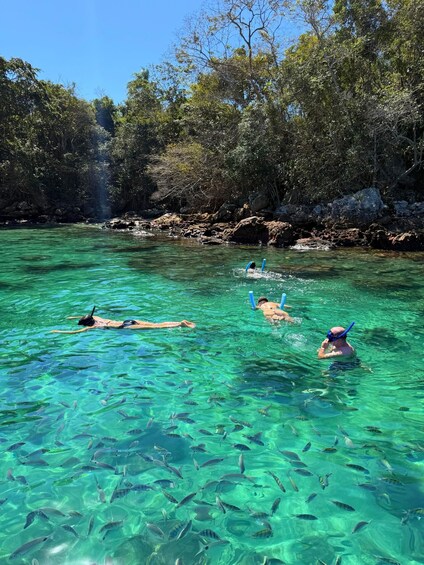 Picture 14 for Activity Ilha Grande: Private Tour with BBQ, Blue Lagoon and More Beaches 5