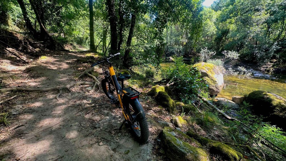 Picture 21 for Activity E-Bike Tour Minho & National Park 2