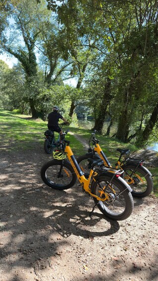 Picture 25 for Activity E-Bike Tour Minho & National Park 5