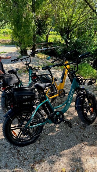 Picture 22 for Activity E-Bike Tour Minho & National Park 3