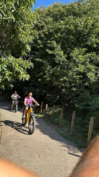 Picture 30 for Activity E-Bike Tour Minho & National Park 3