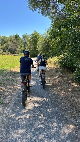 Picture 29 for Activity E-Bike Tour Minho & National Park 4