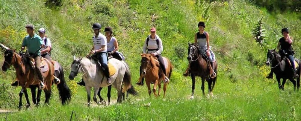 A group of people horseback riding through a grassy field. 3