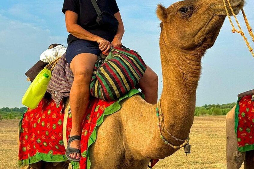 A person riding a camel in a desert landscape. 2